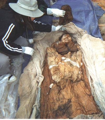 Korean Mummy Had Hepatitis B?